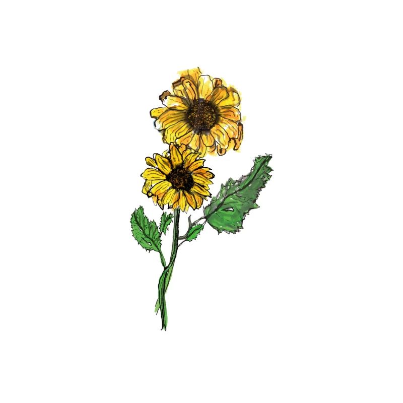 Sonnenblume