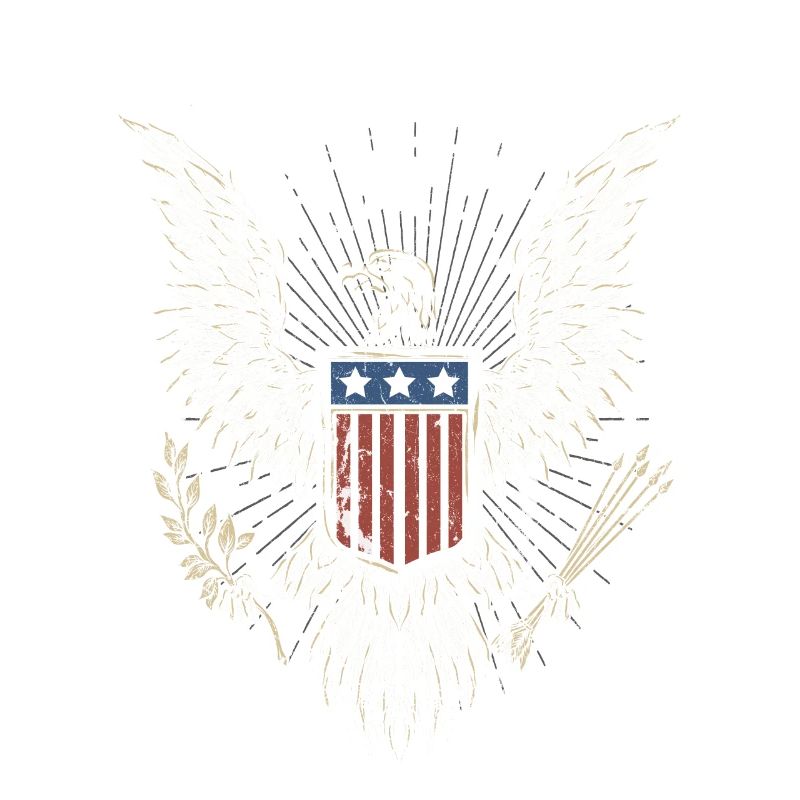 Freedom Eagle Us Flag Design For The