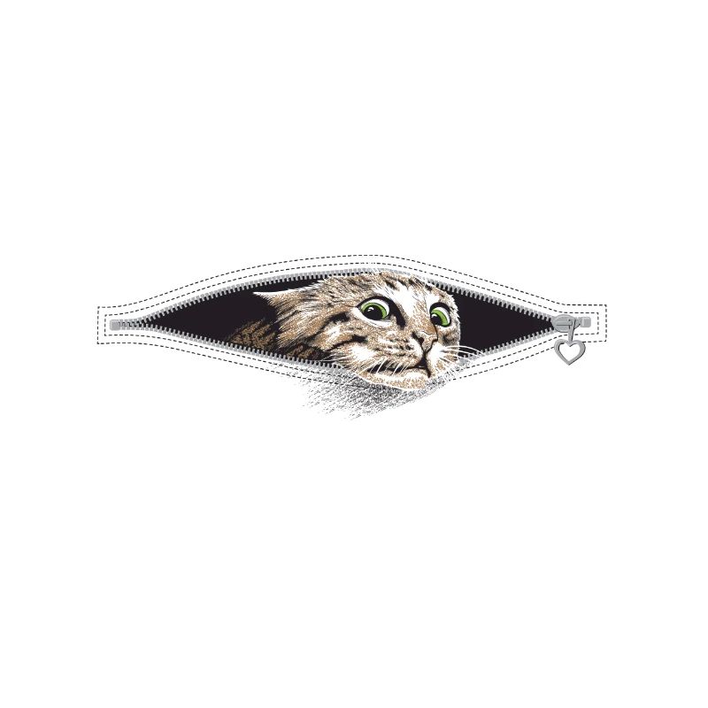 Katze Katzen