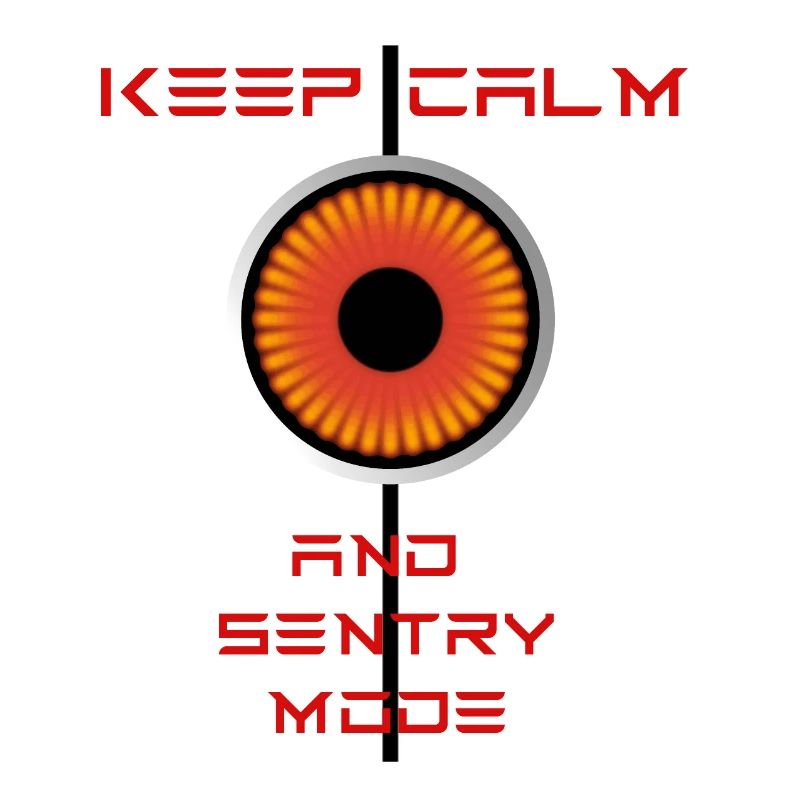 Keep Calm and Sentrymode Tesla
