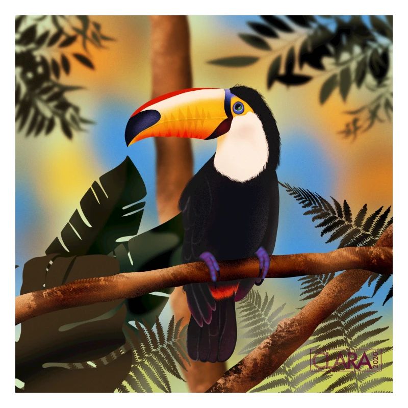 Toucan
