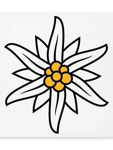 Edelweiss Bergblume Logo