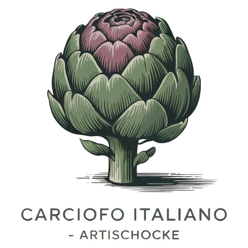 Carciofo Italiano – Artischocke