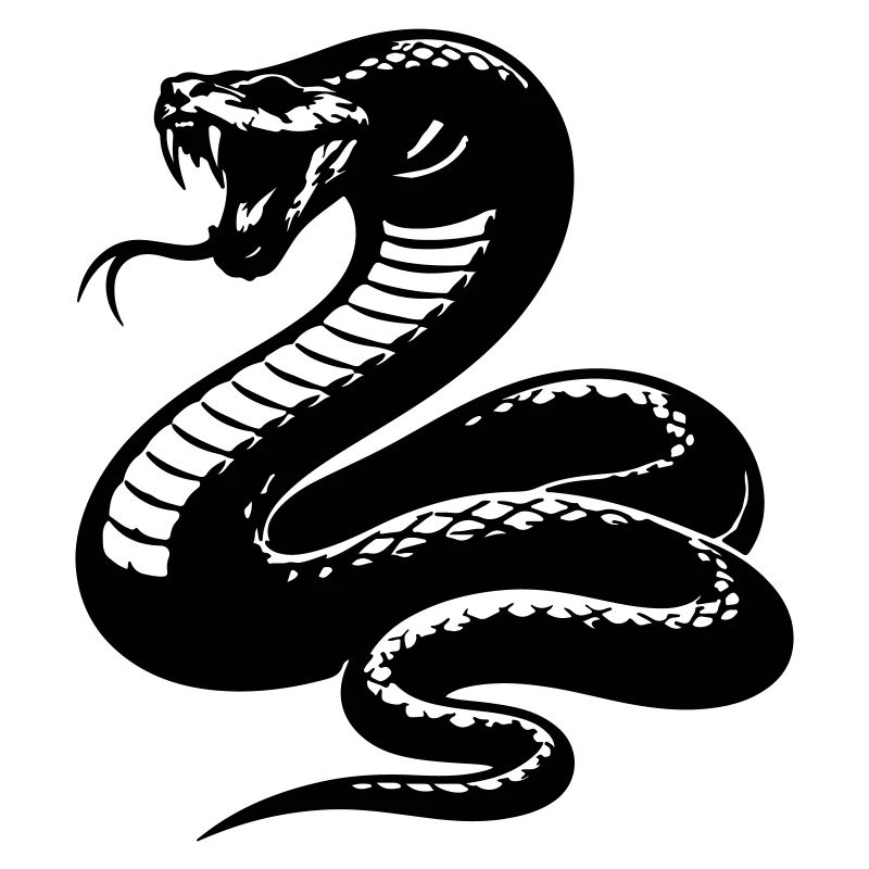 Schlange Python Silhouette