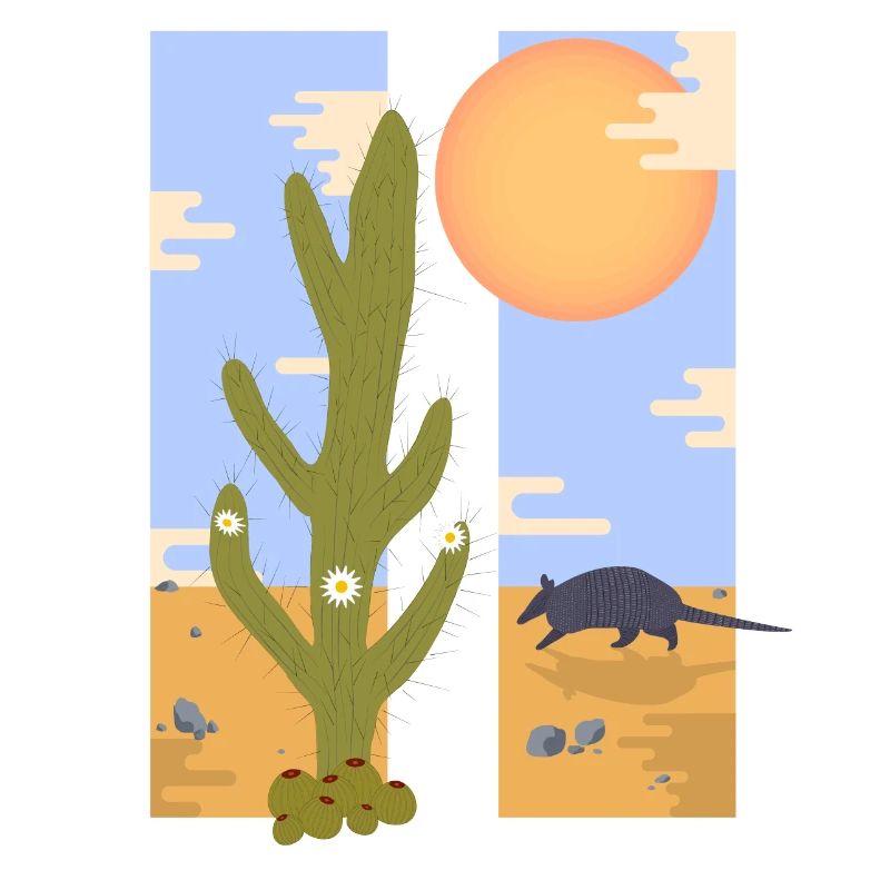 CACTUS