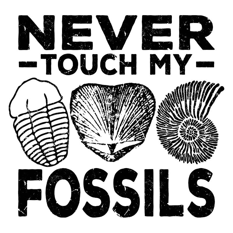 Fossilien Sammeln