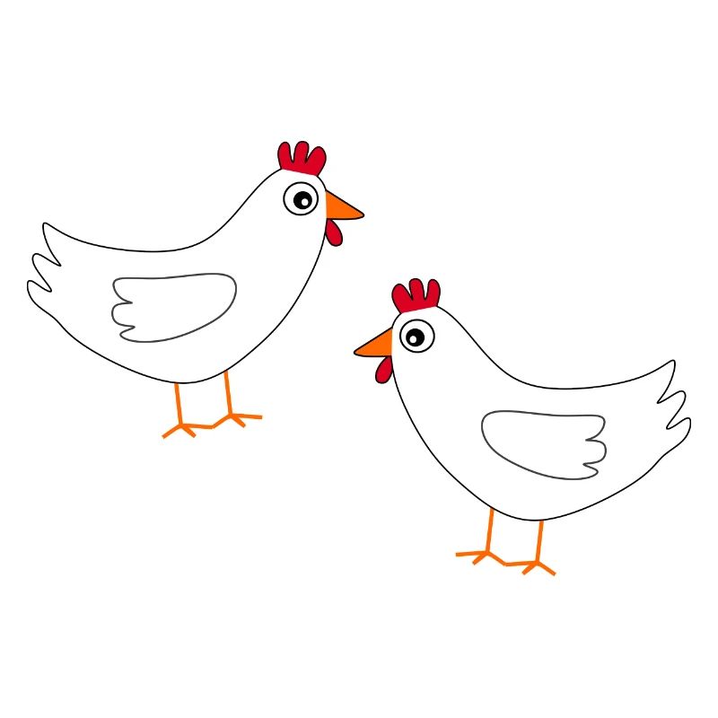 Chicken White White Chickens Hens Easter