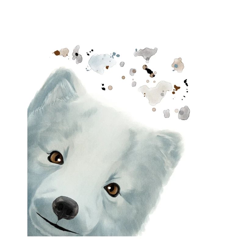 Neugieriger Polarfuchs