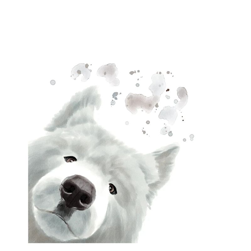 Neugieriges Samojede Hund