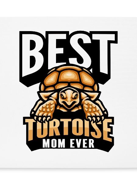 Tortoise