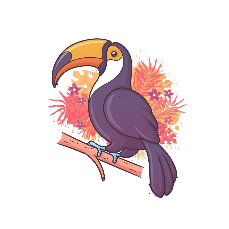 Toucan