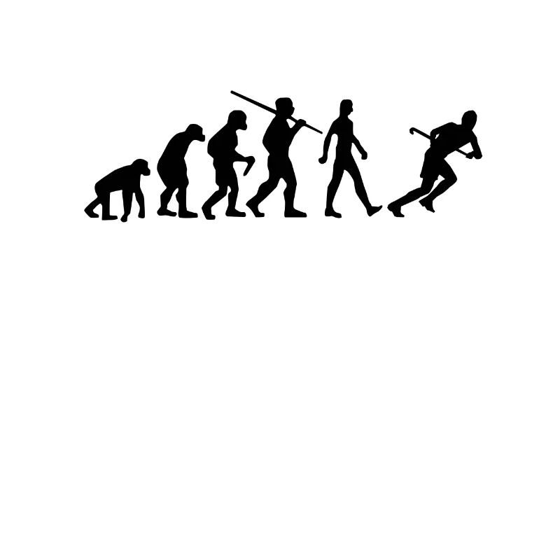 Hockey Evolution Feldhockey