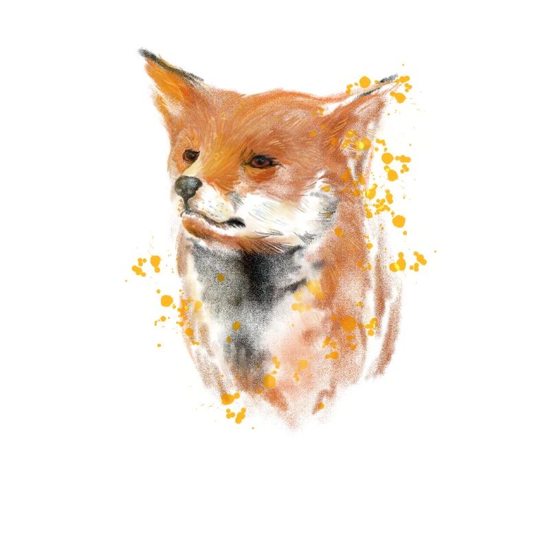 Fox Face Fox Fox Cute Smart Watercolor