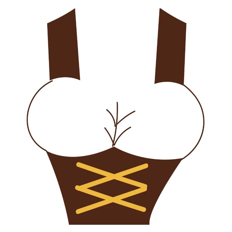 Traditional Dirndl Replacement Suitable for October