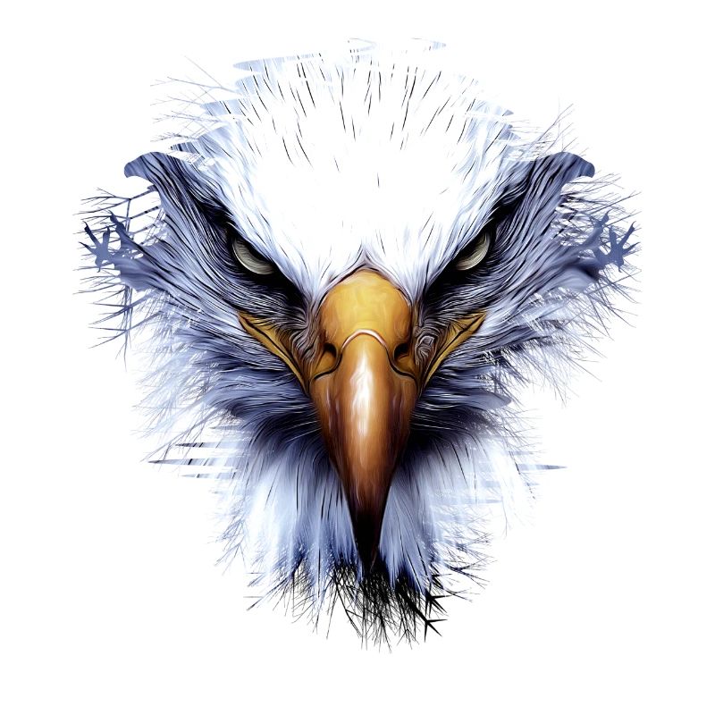 Bad Eagle