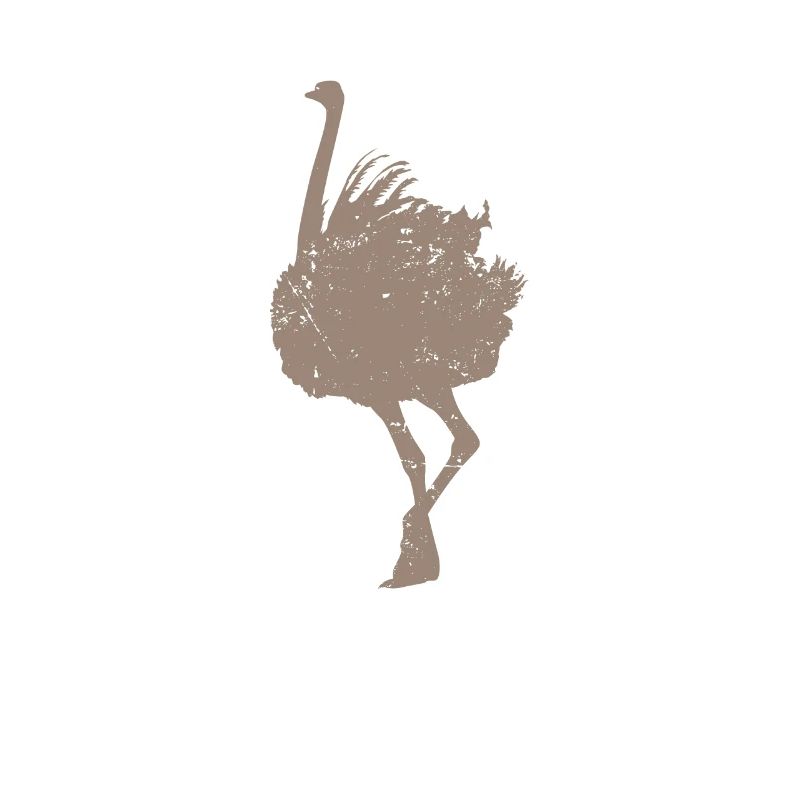 Strauß Afrika Laufvogel