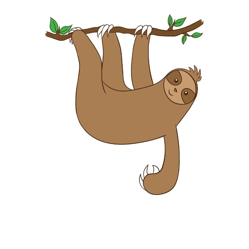 Sloth hanging from the tree