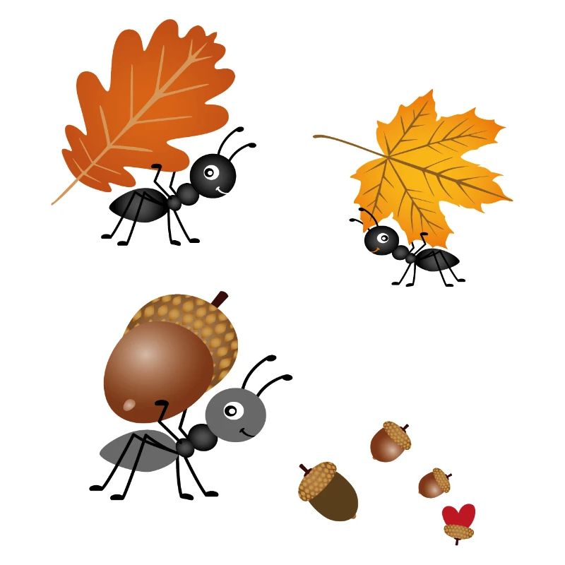 Ameisen im Herbst