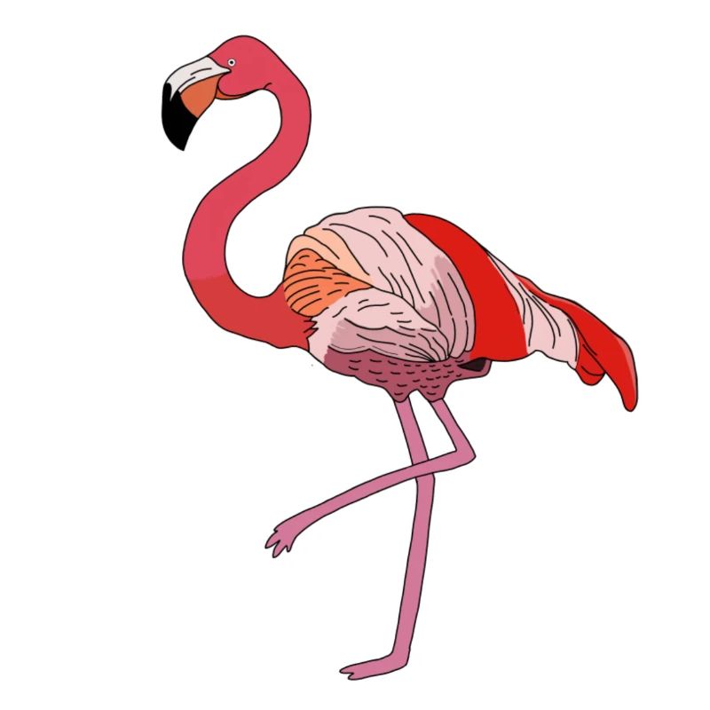 Flamingo
