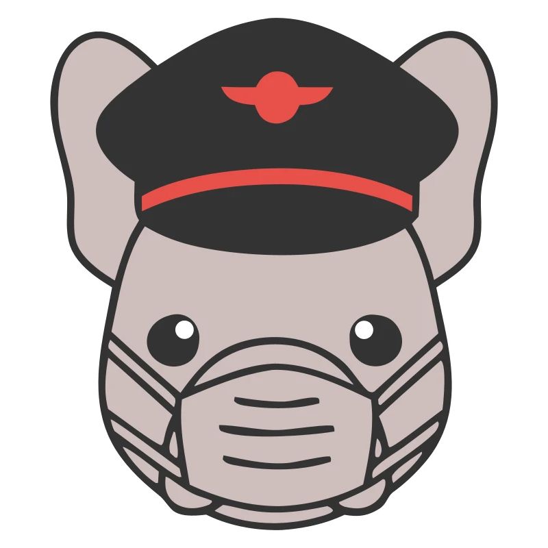 Frenchie Pilot Maske Fliegen