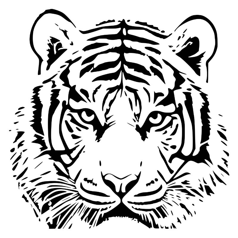 Tigerkopf Katze Tigers