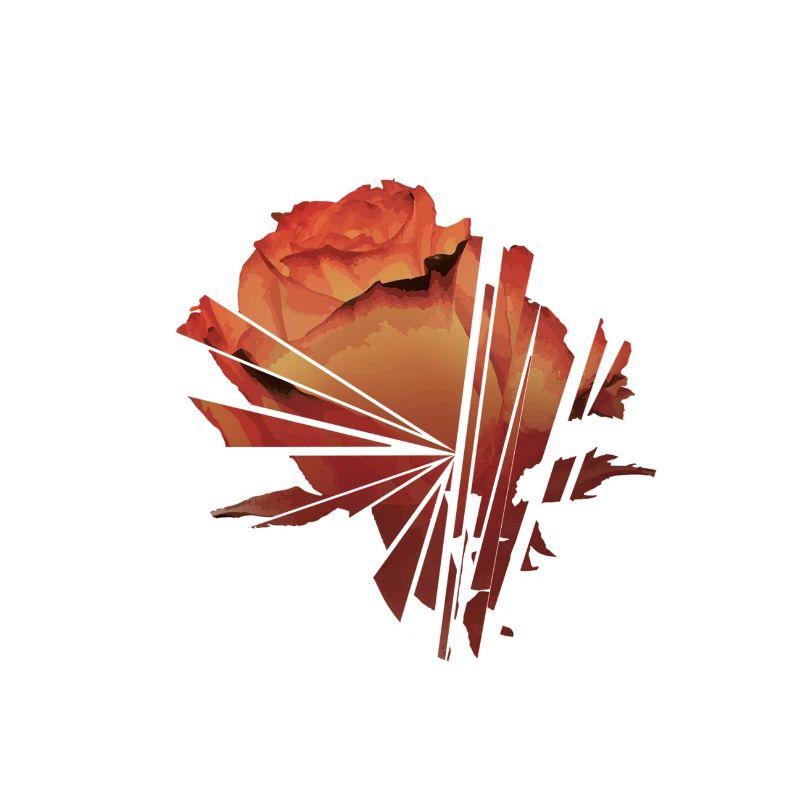 Zersplitterte Rose