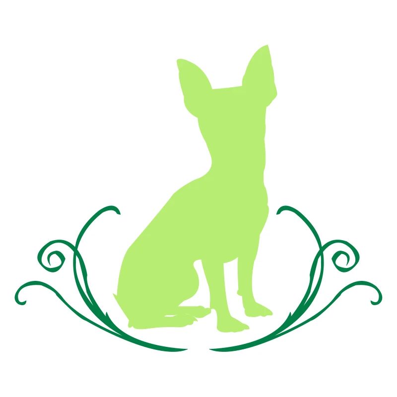 Kurzhaar Chihuahua