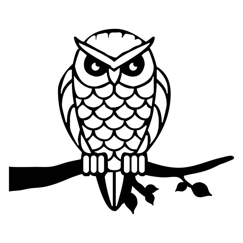 owl_001
