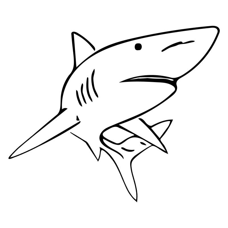 Shark - Vector Design