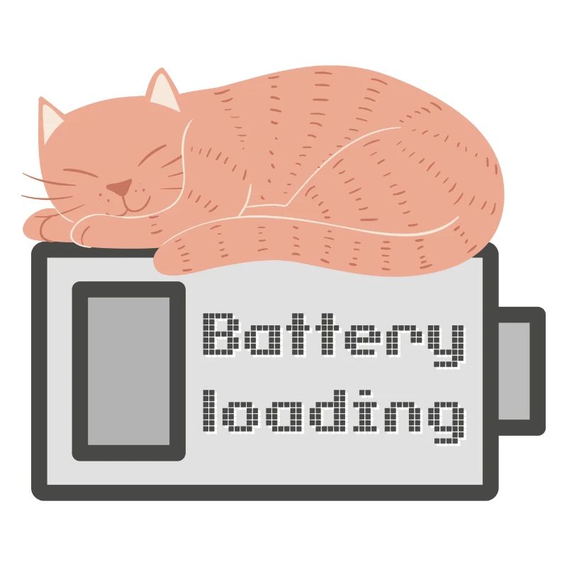 BATTERY LOADING CAT