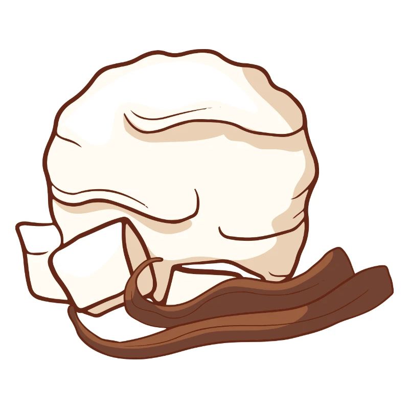 Vanille Eis Speiseeis Eiskrem Eiscreme Kugeleis