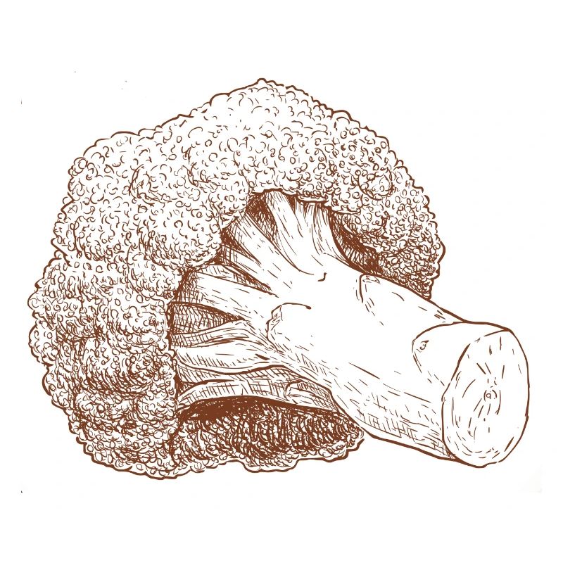 Brokkoli
