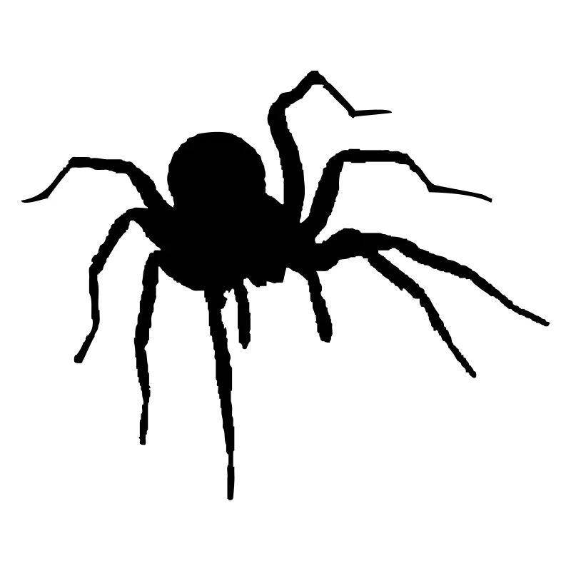The Spider