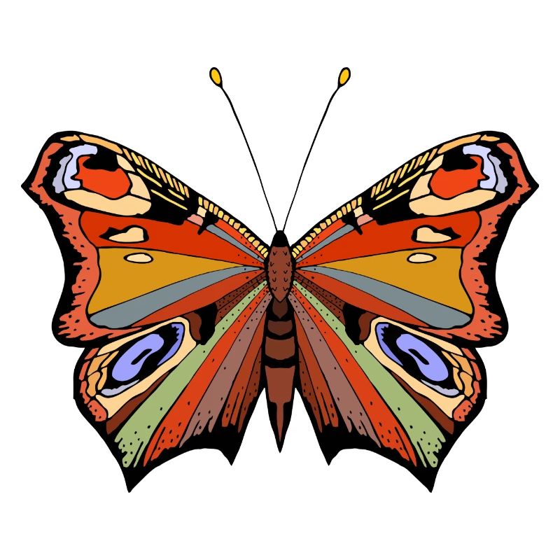 Schmetterling