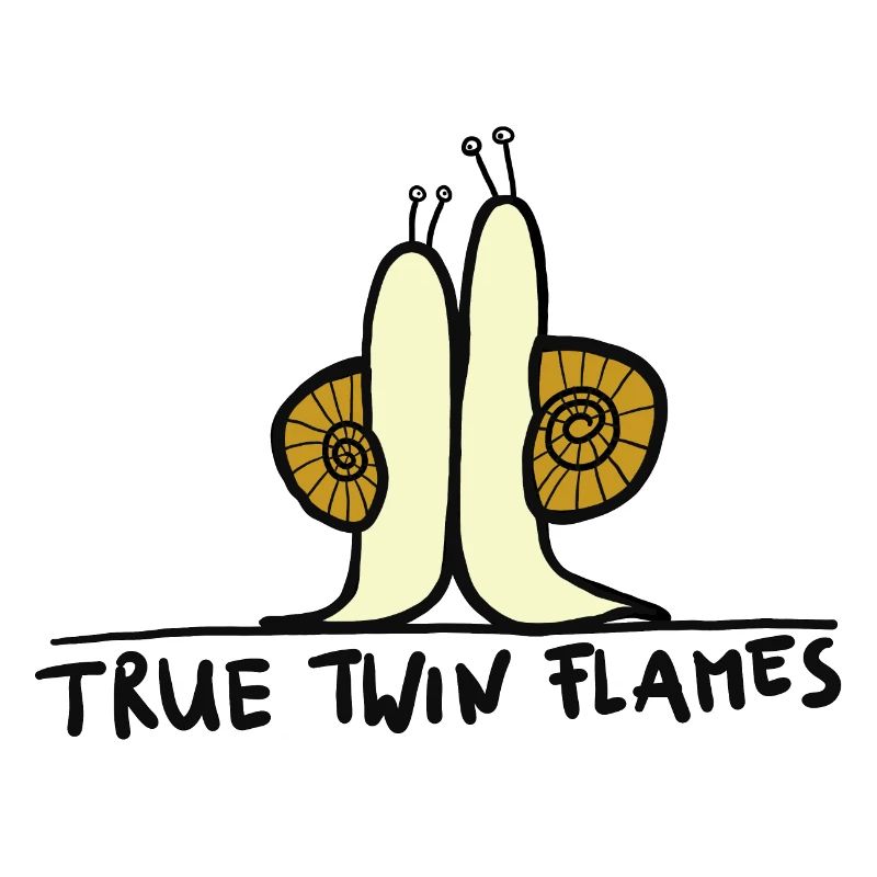 true twin flames