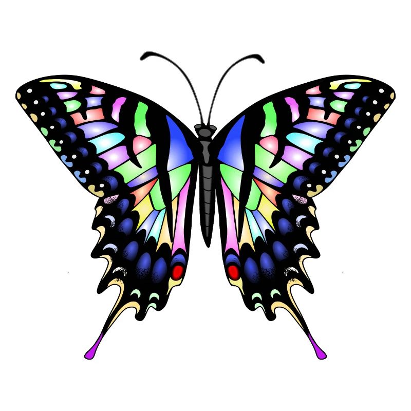 Schwalbenschwanz Schmetterling