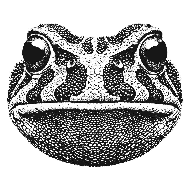 Frosch