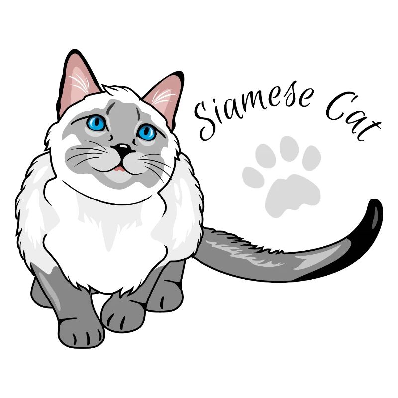 Neugierige Siamkatze