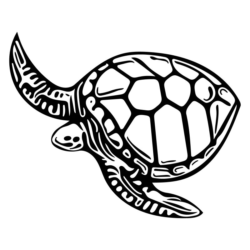 turtle