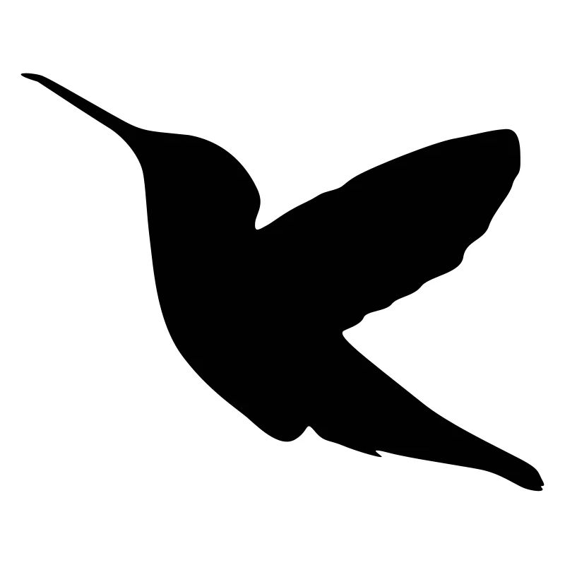 kolibri bird