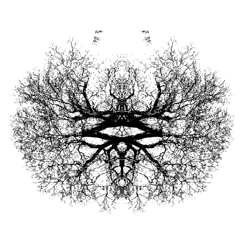 Natur Kunst
