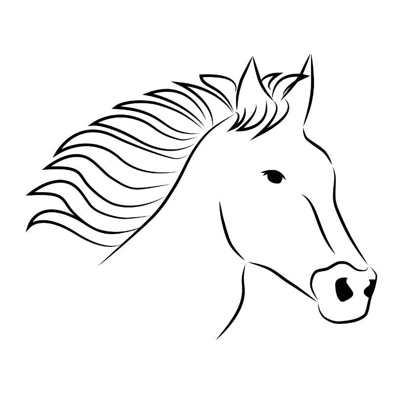 Pferd Pferdekopf schwarz
