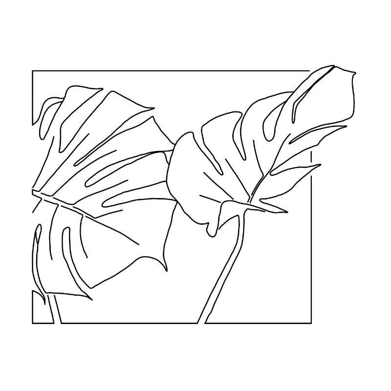 Monstera-Blätter