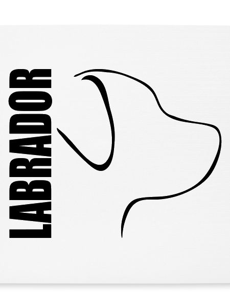 LABRADOR PROFIL