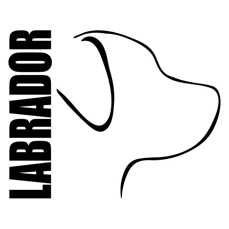 LABRADOR PROFIL