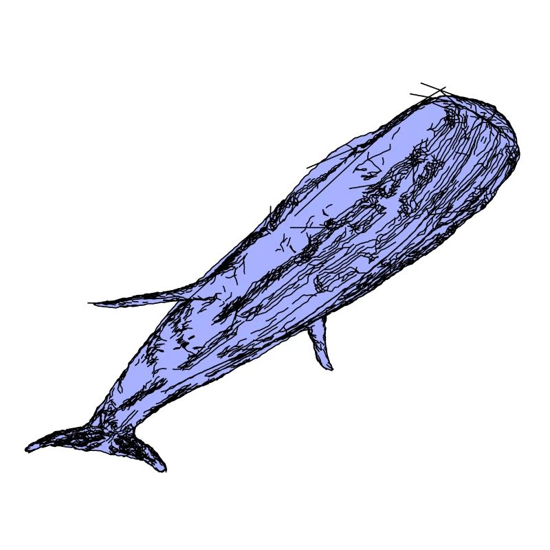 whale