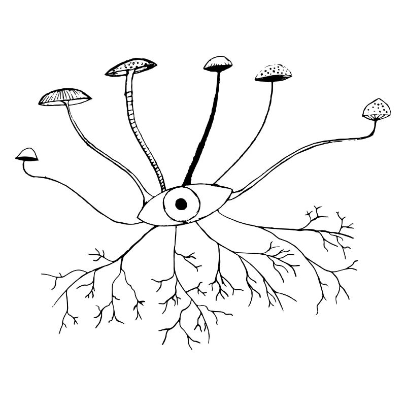 Mushroom Eye
