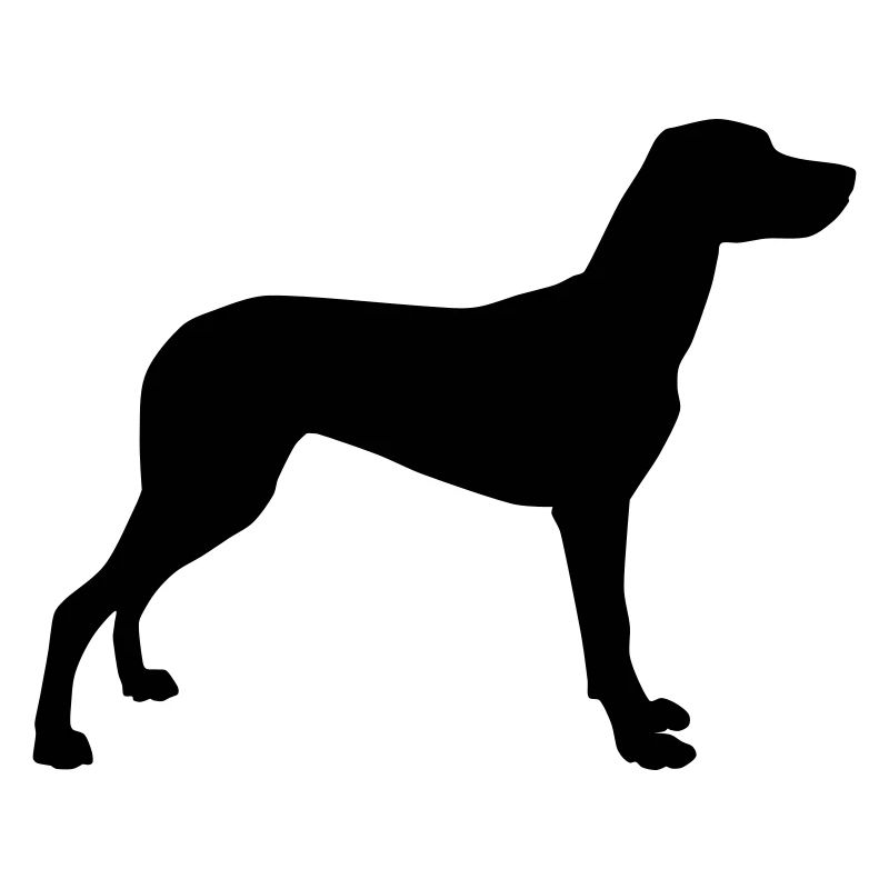 vizla schattenriss 1