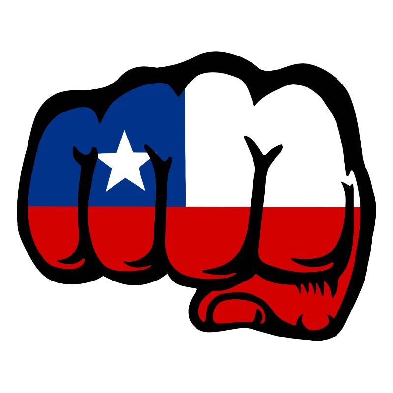 Poing du drapeau du Chili