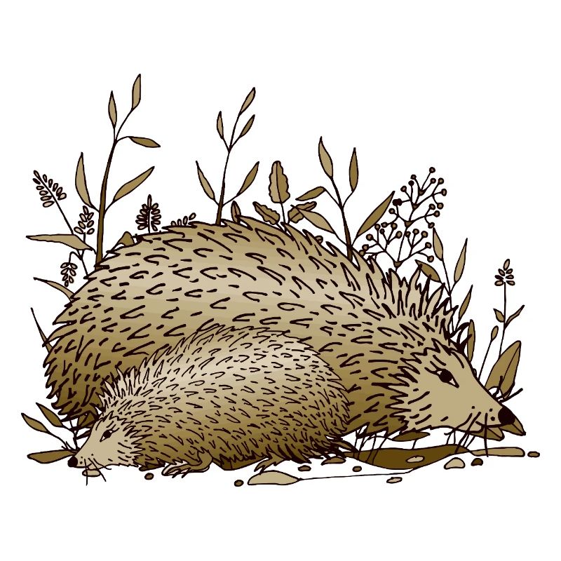 Igel